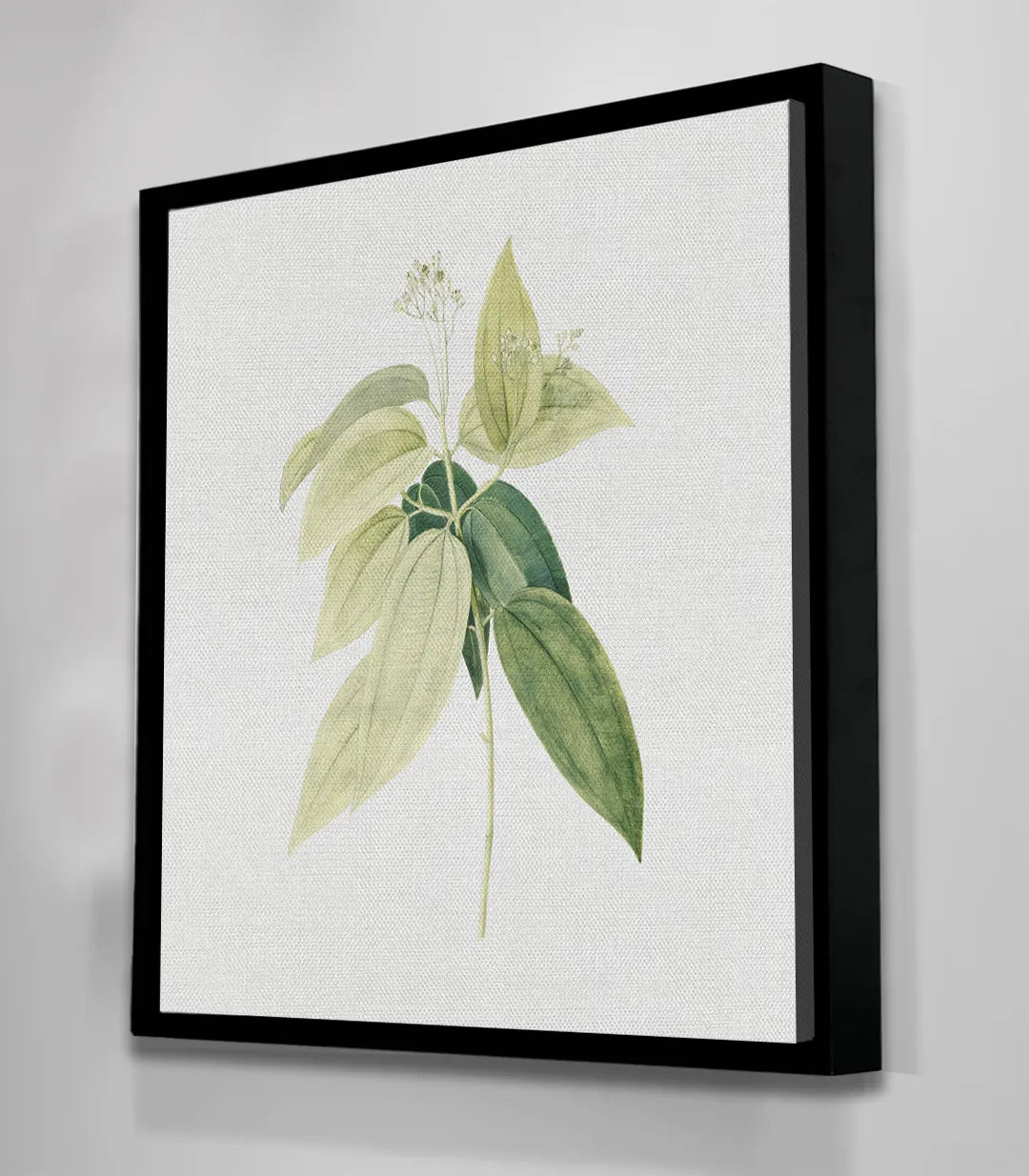 Floral Tendrils
